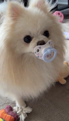 とっても嬉しそう♪