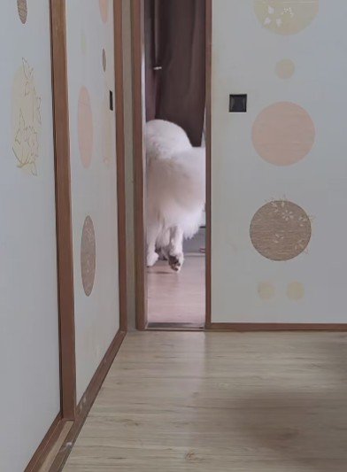 雪が見られるといいですね！