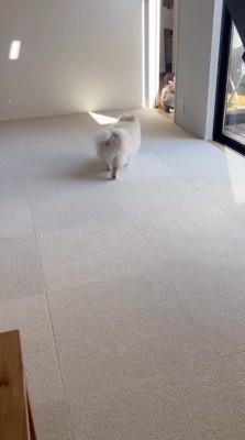 ハイハイで部屋を出て行く女の子を追いかける犬