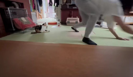 四本足のお母さん…!?