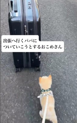 「置いていかないで」