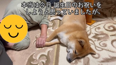 仲睦まじく寝る姿にホッコリ
