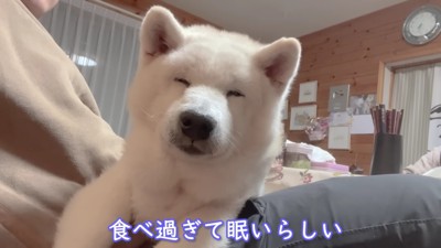世界一幸せなあいちゃんでした