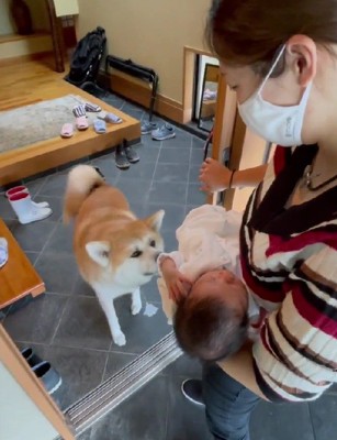 赤ちゃんとの初対面