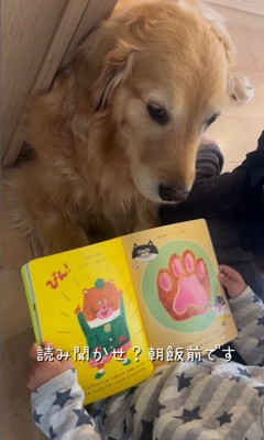 きなこちゃんと三兄弟の日常