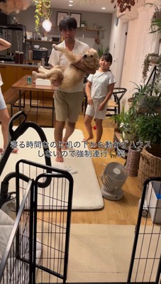 男性に抱き抱えられる子犬