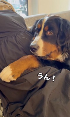 「まかせてっ」