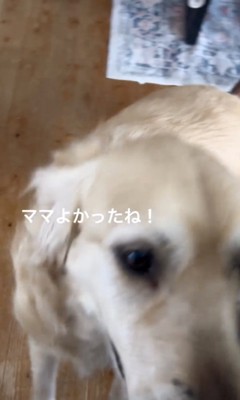 良かったね!