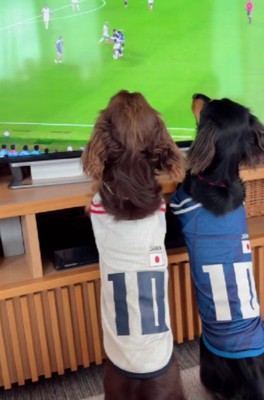 ワールドカップを見ていたら