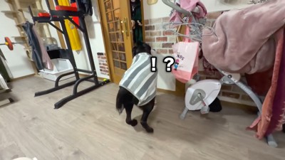 妹さんがドアを開けたら…？
