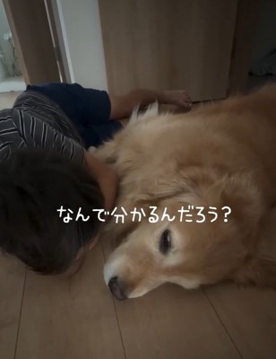 横並びの息子さんときなこちゃん