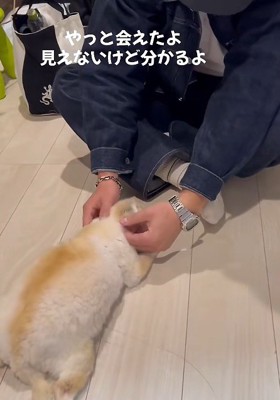 あたたかな再会に涙…