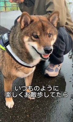 雨が降ってきた時のしんのすけ君2