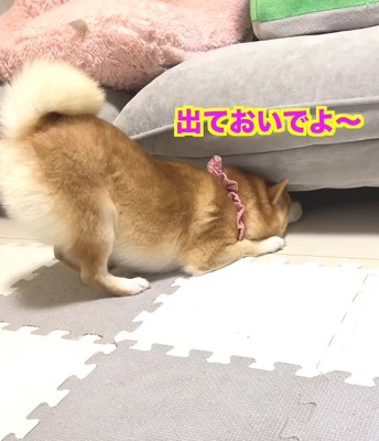 「大丈夫…？」