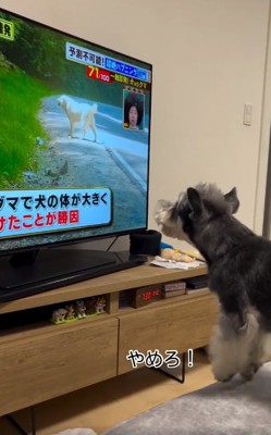 大きく吠えるワンコ