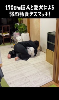 ドレミちゃんVSパパさん2