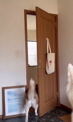 ドアを開けるシンプソンちゃん3