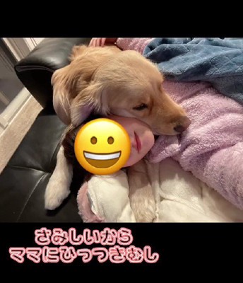 ママにべったりになった