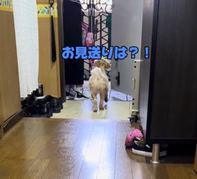 玄関の外にいる家族のそばに寄る犬