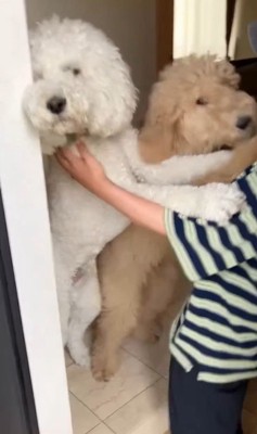 ますお君&まるお君とママさんの再会7