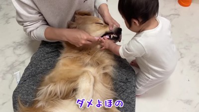 「こうやってやるのか」