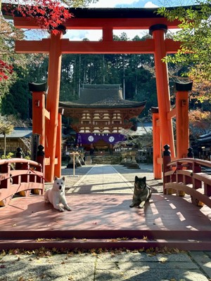 丹生都比売神社