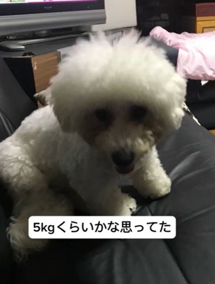 モンくんの成長2