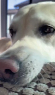 ちょっぴり怒り顔!?