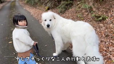 お散歩する2人の姿は…