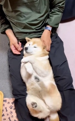 高速で足が動くここちゃん