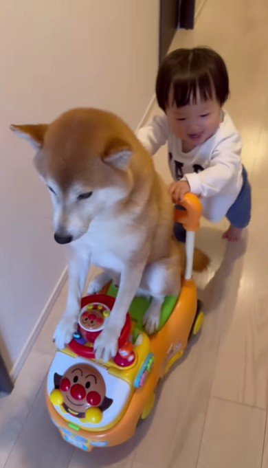 お次はしゅんくんへ