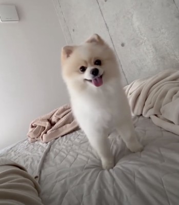 「まだ起きてないな…」