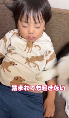 マックスくん＆ロイくんと育った男の子4