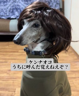 女性らしい雰囲気に♡