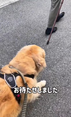 「じゃあ行こうか」