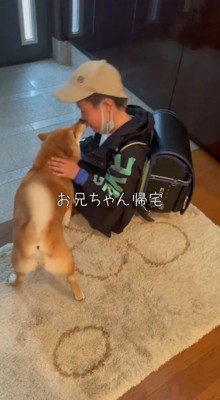 男の子の口を舐める犬
