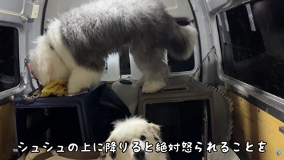 みんなで車中泊にチャレンジ!