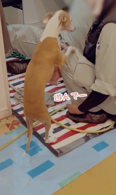 1年前、とっても仲良しに