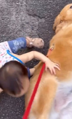 尻もちをつく男の子