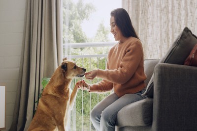 女性と犬