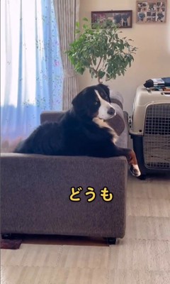 リンちゃんに声をかけたら…7