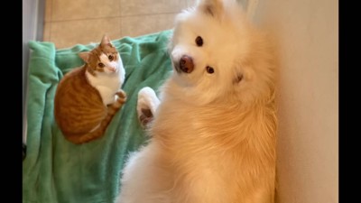 すっかり家族のよう!!