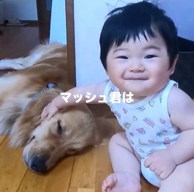 笑顔で犬を撫でる赤ちゃん