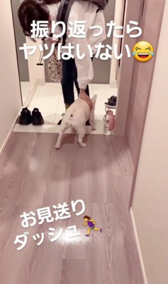 やまわきさんのお見送り3