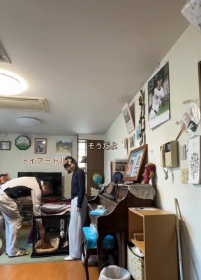 犬種を当てるお父さん