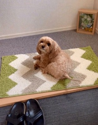 塩対応のニコちゃん