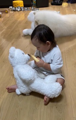 遊び方も対照的