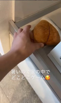 おもちゃ探しゲームをする忠太くん3