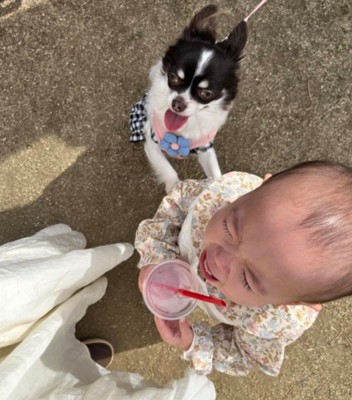 水が欲しいときも一緒