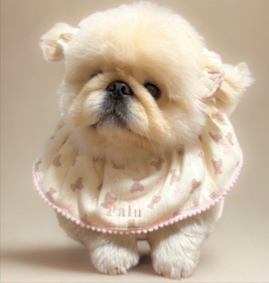 『ぼく2、3キロですよ』